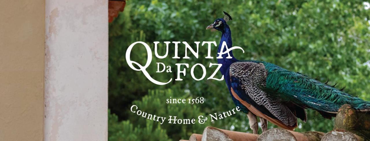 Vila Quinta Da Foz Foz do Arelho Exteriér fotografie
