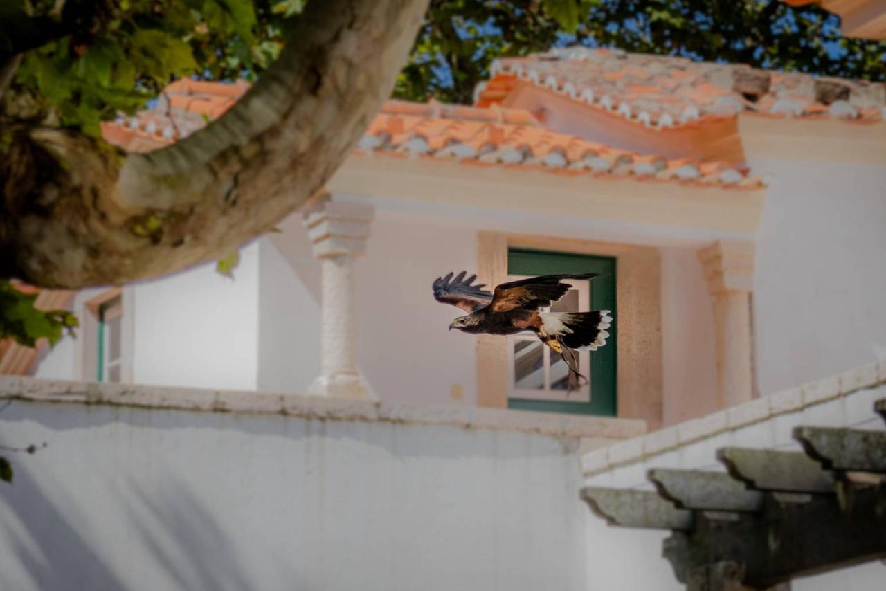 Vila Quinta Da Foz Foz do Arelho Exteriér fotografie